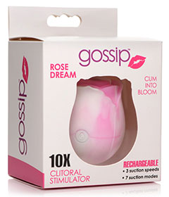 Gossip Cum Into Bloom Rose Dream