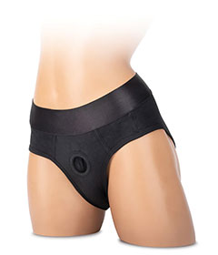 Whipsmart Brief Harness Small